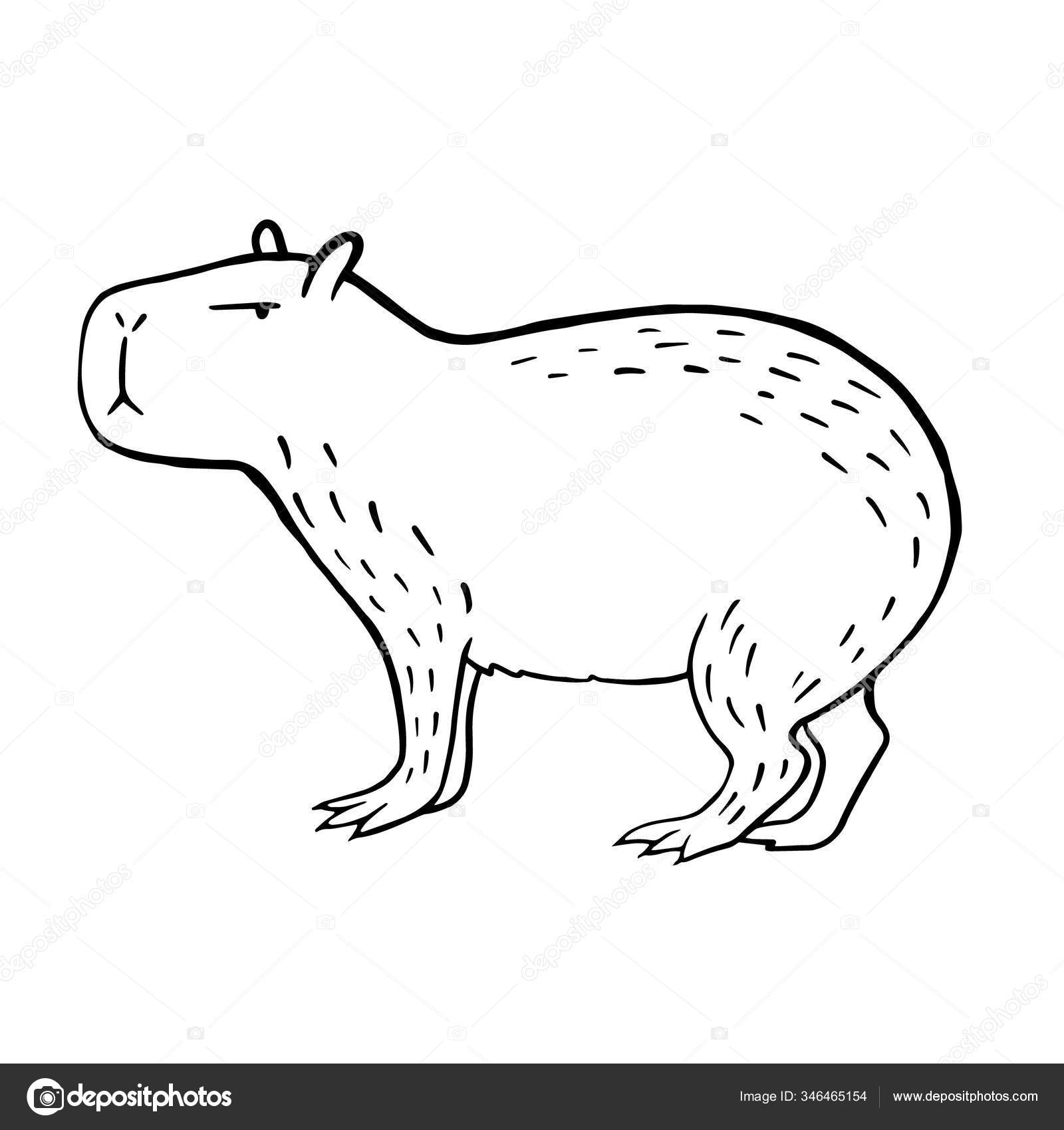 Capivara Ilustração Linear Vetorial Uma Capivara Desenho Animal